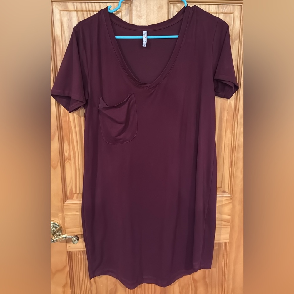 Z Supply Burgundy Suede Mini Dress